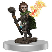 Pathfinder Painted Premium: Male Gnome Druid