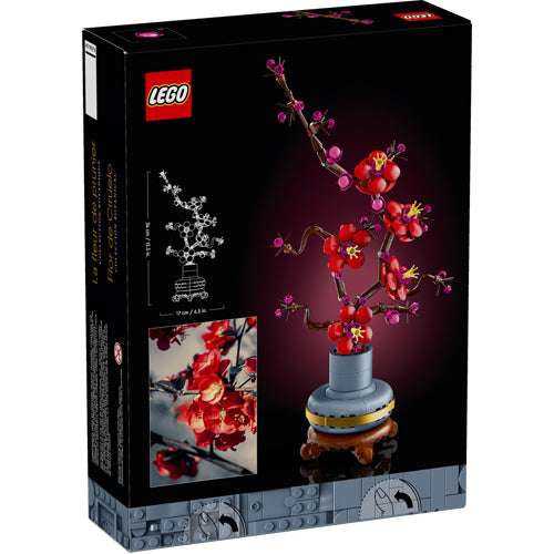 Plum Blossom