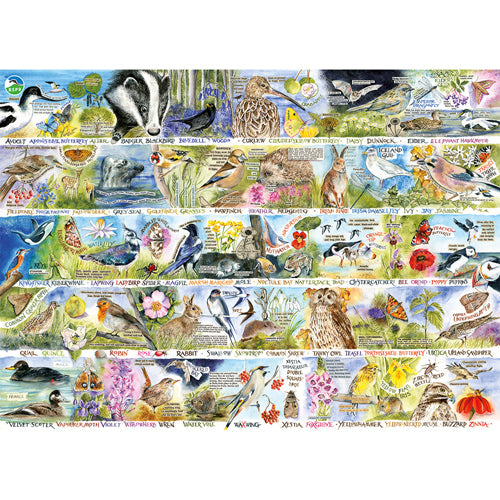 RSPB Birdsongs and Bluebells 1000 Piece Puzzle