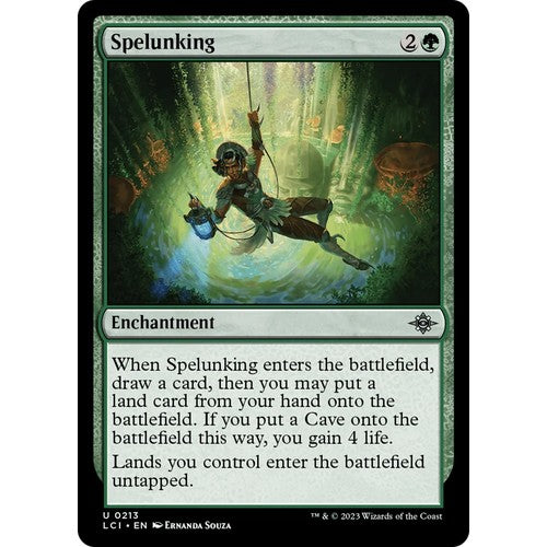 Spelunking LCI 213