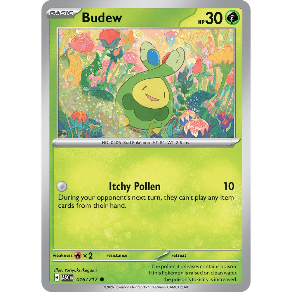 Budew ASC 016/217