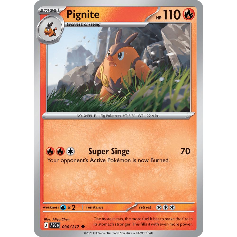 Pignite ASC 030/217