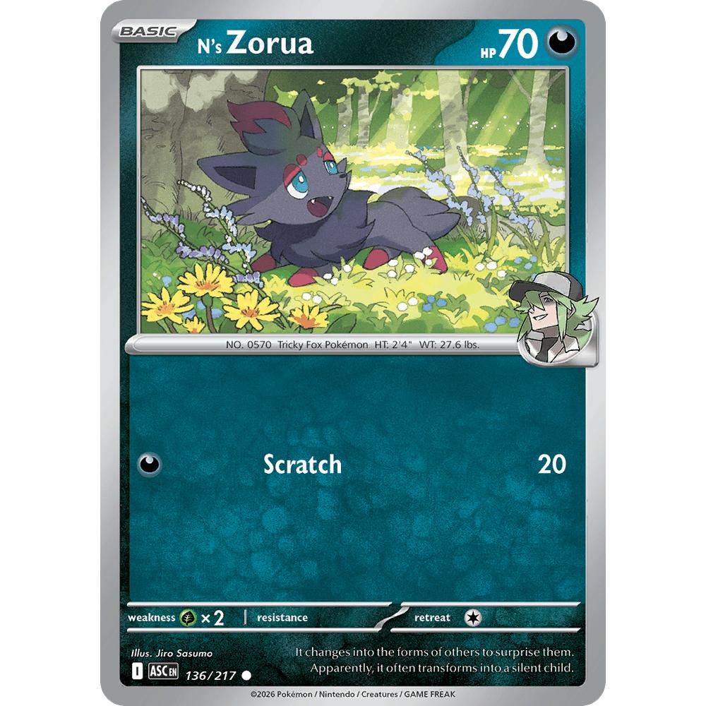 Zorua de N ASC 136/217