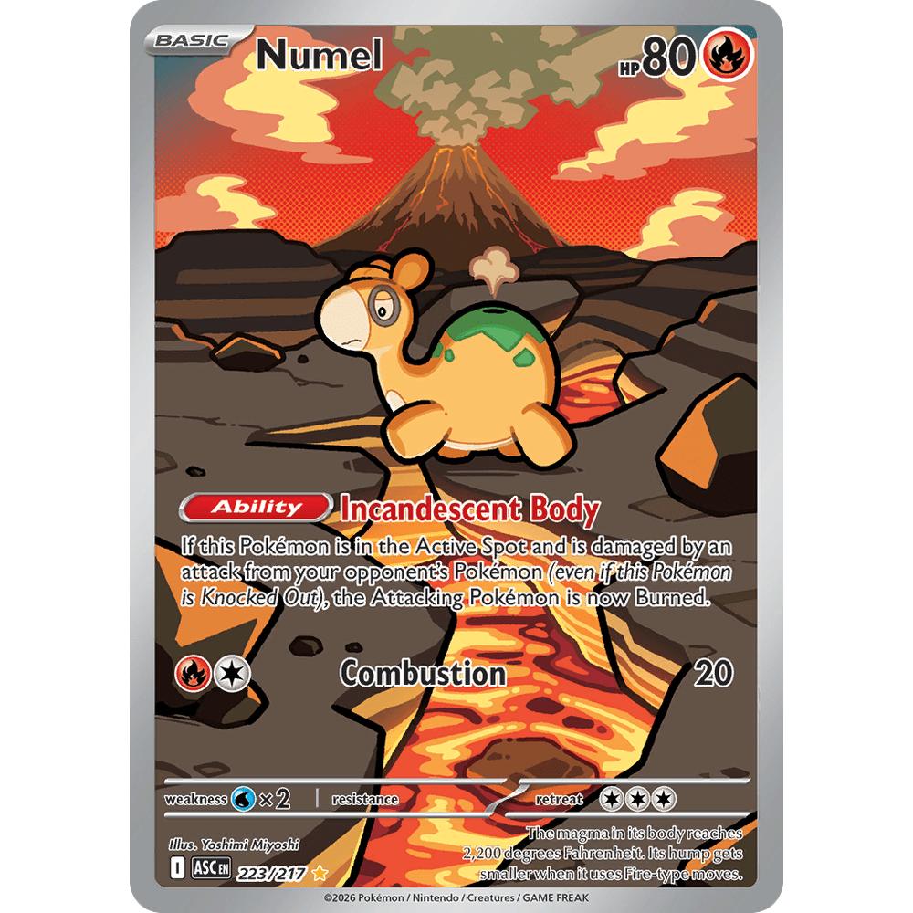 Numel ASC 223/217 - Holo