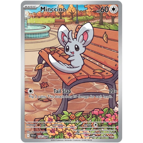 Minccino BLK 152/086 - Holo
