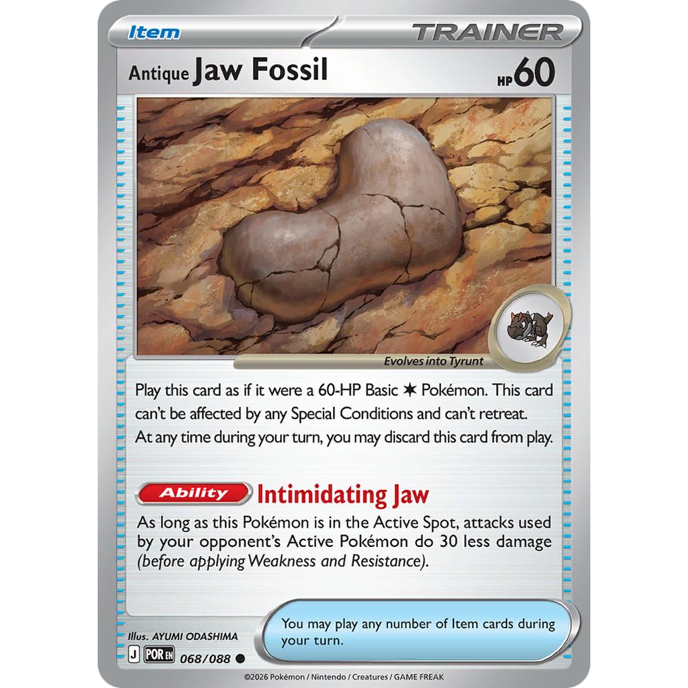 Antique Jaw Fossil POR 068/088