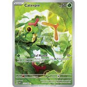 Caterpie MEW 172/165 - Holo