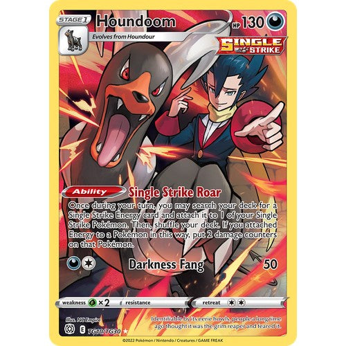 Houndoom SWSH9TG TG10/TG30 - Holo