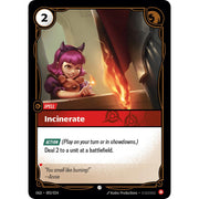 Incinerate OGS 003/24