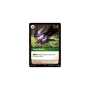 Navori Scout SFD 037/221 - Foil