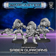 Saber Guardians
