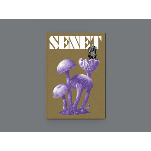 Senet Magazine Issue 12