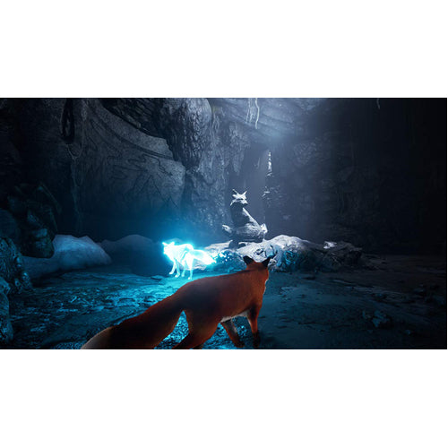 Spirit of the North - PS4 - Gameplay Shot 2
