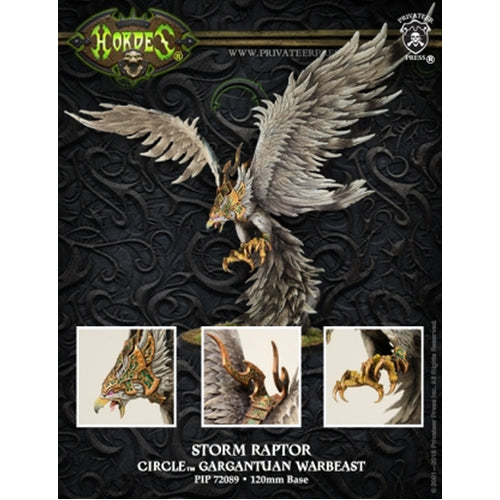 Storm Raptor