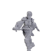 Swashbuckler: D&D Nolzur's Marvelous Unpainted Miniatures (W25)