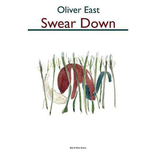 Swear Down (Hardback)