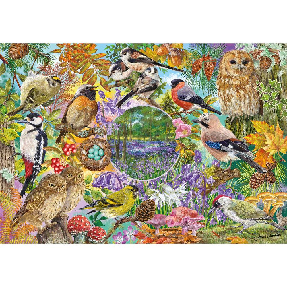 Gibsons: RSPB Wings in the Wild (4x500 Pieces)