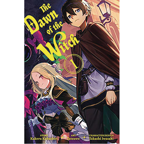 THE DAWN OF THE WITCH 1 (LIGHT NOVEL)