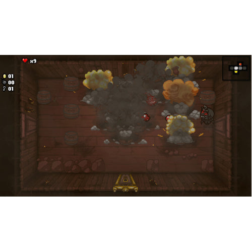The Binding Of Isaac Afterbirth + - Nintendo Switch - Gameplay Shot 1