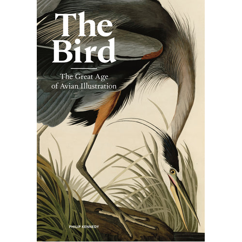 The Bird