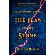 The Flaw in the Stone - (Paperback)