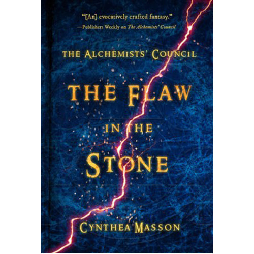 The Flaw in the Stone - (Paperback)