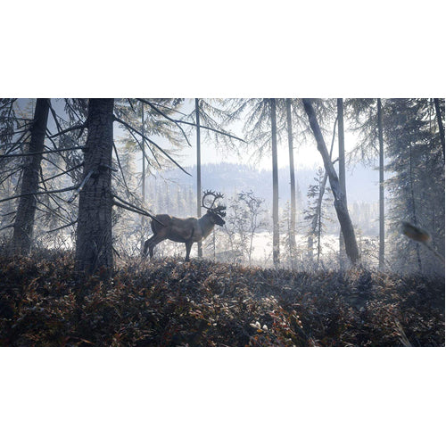 The Hunter Call of the Wild 2019 Edition - PS4 - Gameplay Shot 1