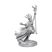 Tiefling Warlock Female: D&D Frameworks (W2)