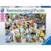 Traveller's Animal Journal, 1000pc