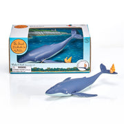 Twin Pack Snail & Whale Gift Box