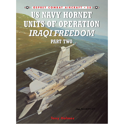 US Navy Hornet Units of Operation Iraqi Freedom (Part Two)
