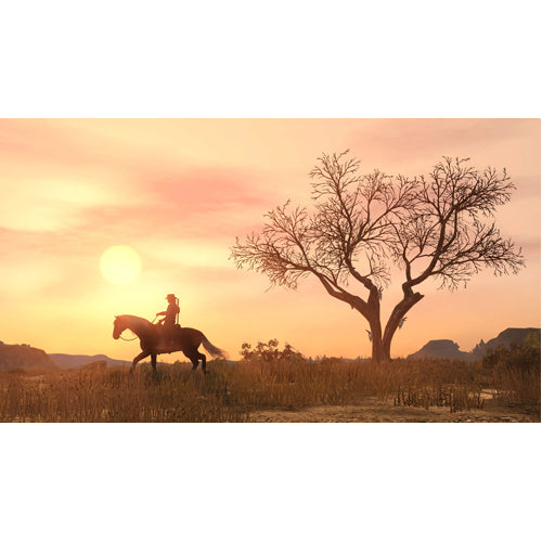 Red Dead Redemption - PS4