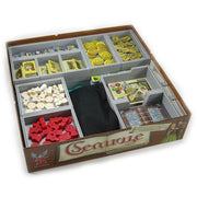 Village Insert