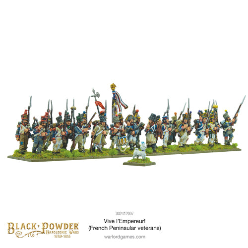Vive l'Empereur! French Peninsular veterans