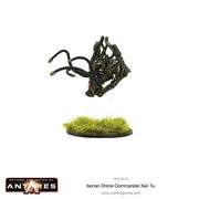 Isorian Drone Commander Xan-Tu