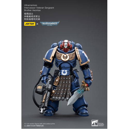 Warhammer 40k Ultramarines Intercessor Veteran Sergeant Brother Aeontas