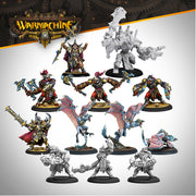 Warmachine: Orgoth Sea Raiders Auxiliary Expansion