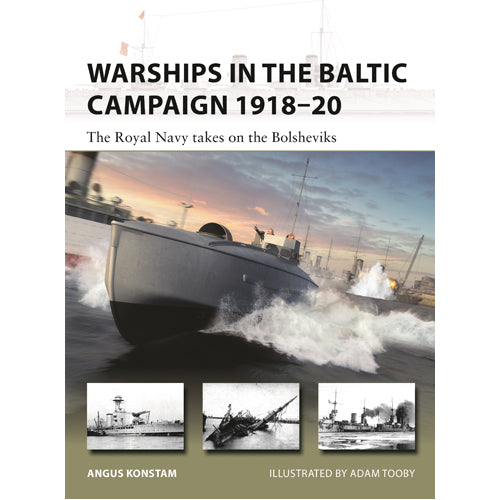 Warships in the Baltic Campaign 1918–20