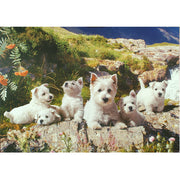 Westies 1000 Piece Puzzle
