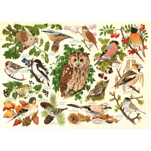Woodland Birds BIG 500 Puzzle