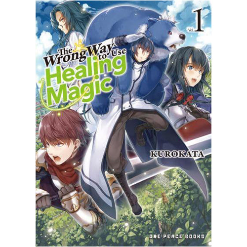 Wrong Way to Use Healing Magic Volume 1, The