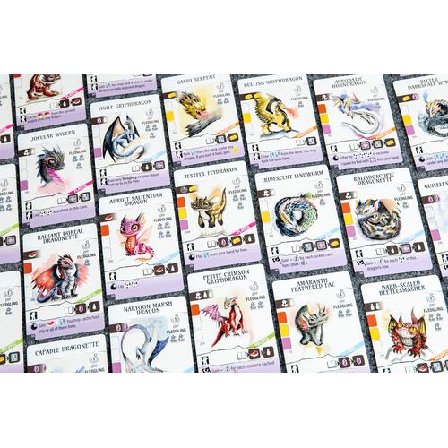 Wyrmspan Dragon Academy Expansion