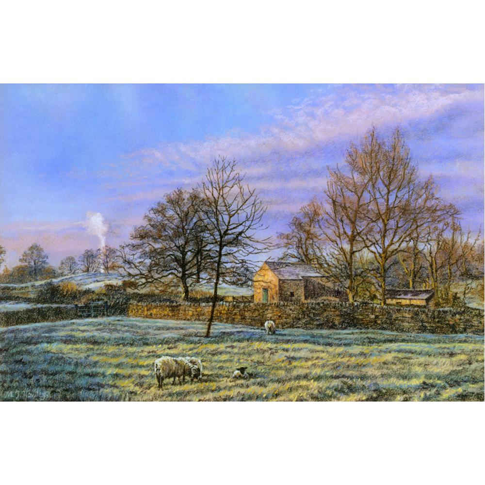 Early Morning Frost Puzzle (1000 Pieces)