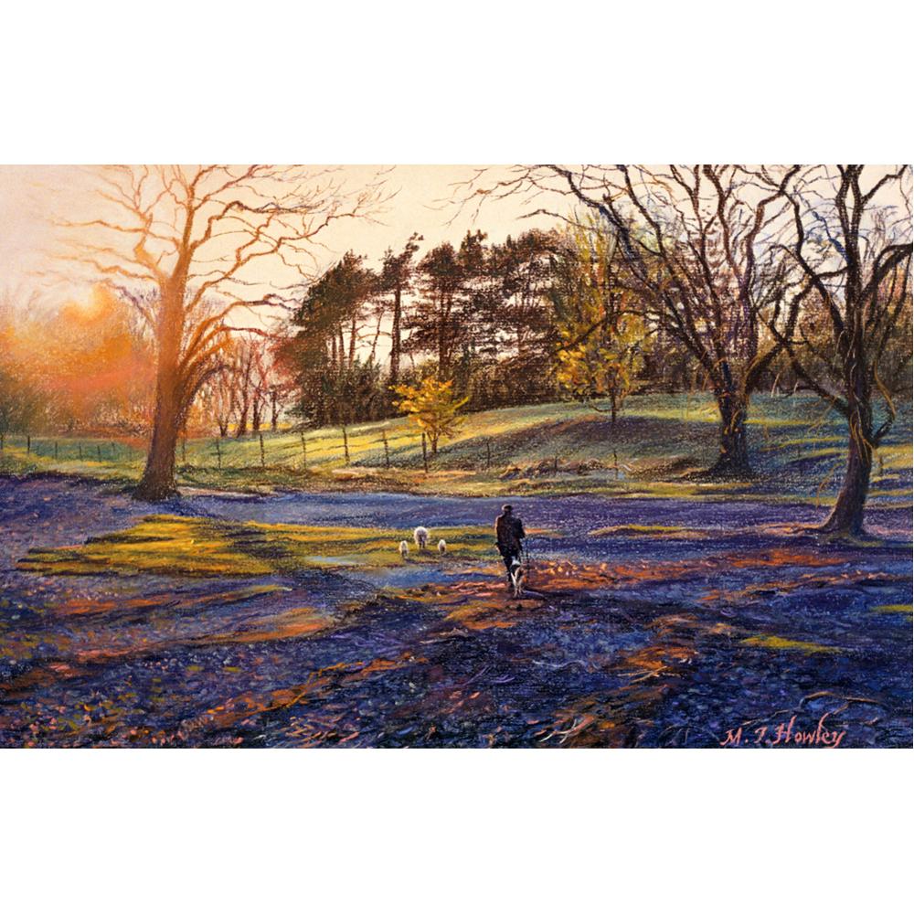 Sunlight Glow Puzzle (1000 Pieces)