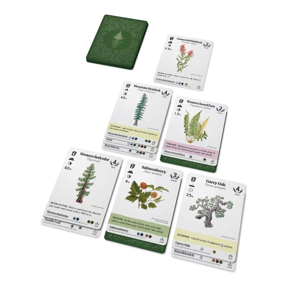 Reforest: Plants of the Pacific Northwest Coast
