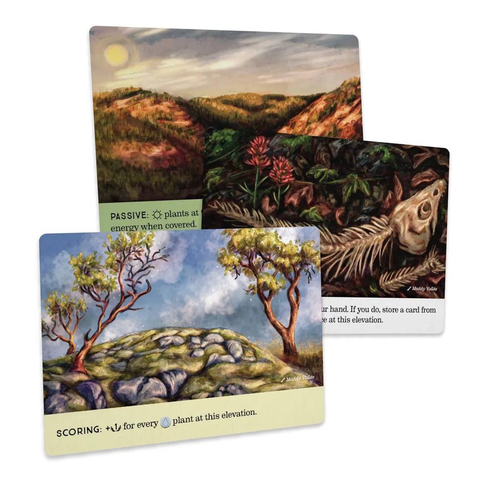 Reforest: Old Growth