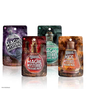 Dungeons & Dragon: Magic and Mysteries Treasure Pack With Refillable Display
