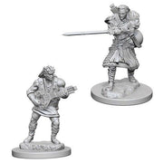 Dungeons & Dragons: Nolzur's Marvelous Unpainted Miniatures: Human Male Bard (Wave 4)