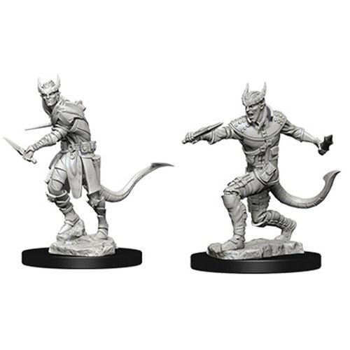 Dungeons & Dragons: Nolzur's Marvelous Unpainted Miniatures: Tiefling Male Rogue (Wave 5)
