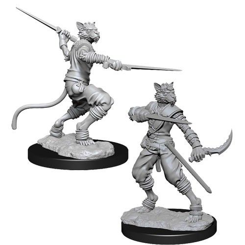 Dungeons & Dragons: Nolzur's Marvelous Unpainted Miniatures: Male Tabaxi Rogue (Wave 7)